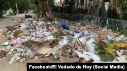 La acumulación de desperdicios favorece la proliferación de roedores e insectos en el lugar. (Facebook/El Vedado de Hoy)