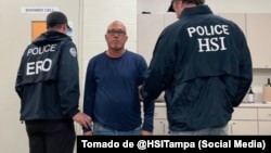El departamento de Investigaciones de Seguridad Nacional (HSI) de Tampa, en Florida, divulgó la imagen de Veguita encadenado y custodiado por agentes.